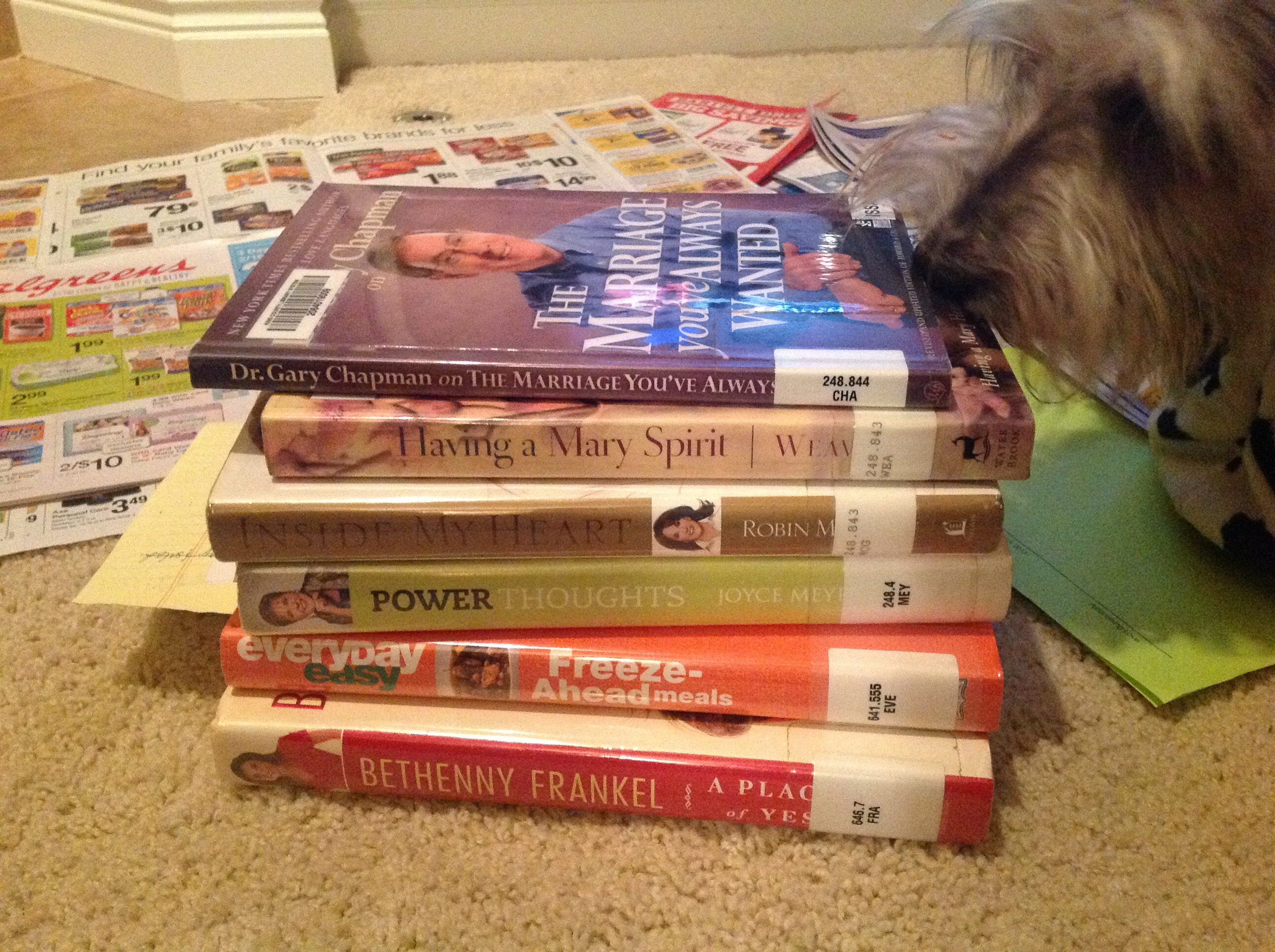 Riley checking out the books I got from the Library