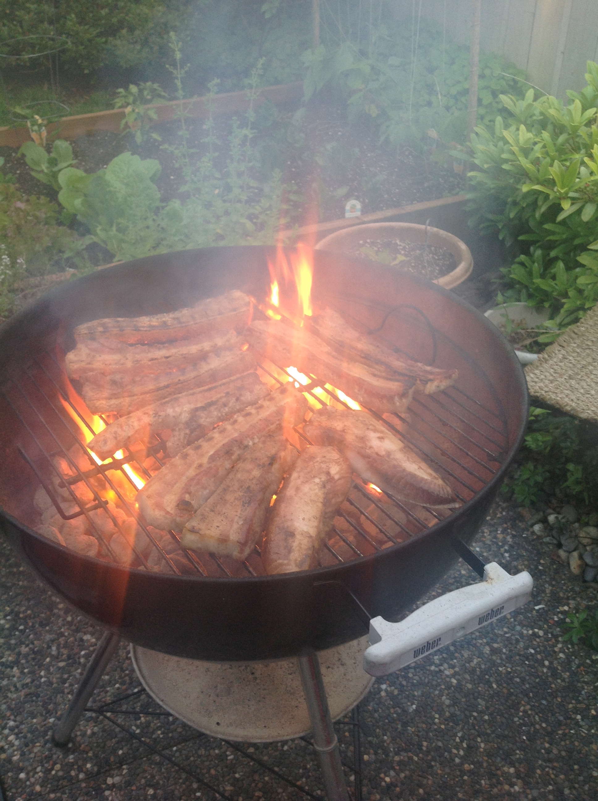 we're grilling pork and tuna belly