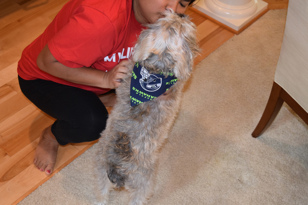 how cute is this seahawks bandana from his vet!